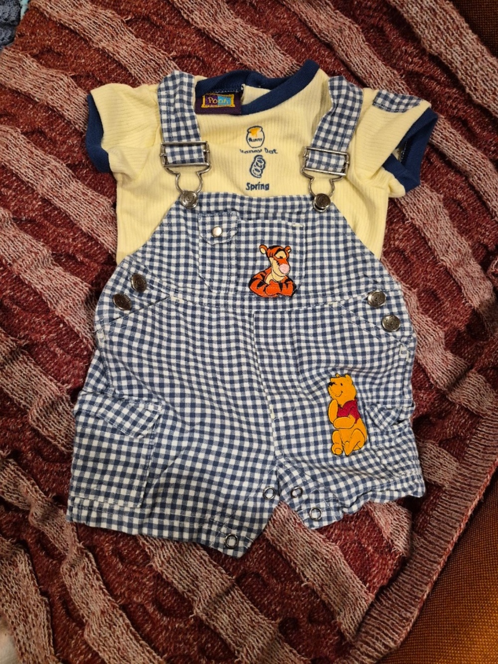 Vintage Disney Pooh 100 Acre Collection Baby Boy Shortalls & Bodysuit Set
